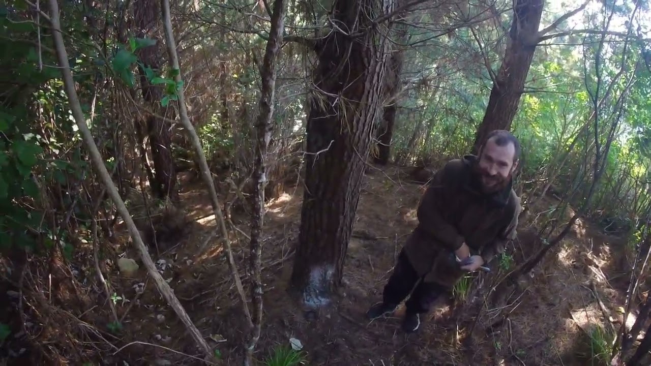 Akatarawa Valley Feb 2026 #deerstalking #flyfishing #possumtrapping