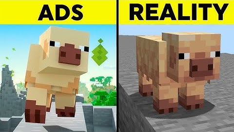 Minecraft 1.21.5 Trailer vs Reality