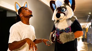 I Became A Furry!