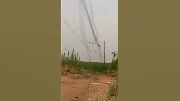 صيد دخل بشبك 