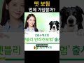 펫보험 언제가입할까