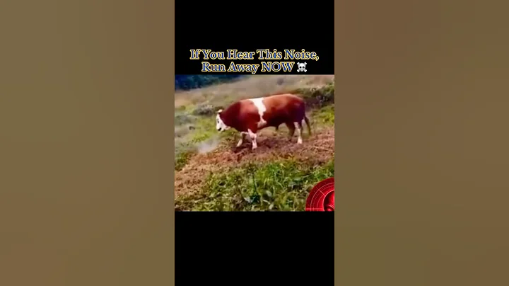 If You Hear This Noise, Run Away NOW ☠️ #scary