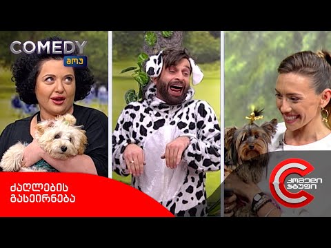 კომედი შოუ - ძაღლების გასეირნება