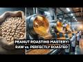 Inside a Peanut Processing Plant | From Raw Groundnuts to Roasted Snacks