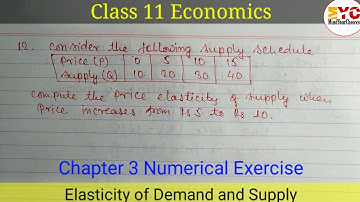 Compute The Price Elasticity of Supply | Class 11 Economics | Elasticity of Demand and Supply
