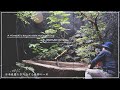 【Project.38】A Niwashi's day at work maintaining a Japanese garden. 日本庭園を手入れする庭師の一日。