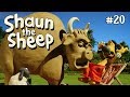 Shaun the Sheep - Banteng Vs Domba [Bull Vs Wool]