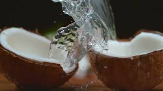 Shampoo 600G O2 Kurdish