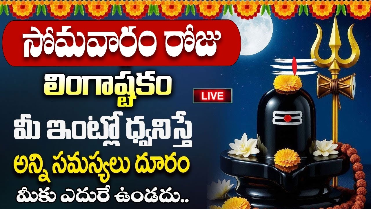 Live : సోమవారంరోజు 
