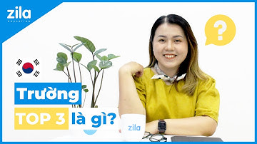 TRƯỜNG TOP 3 HÀN QUỐC LÀ GÌ? | Du học Hàn Quốc cùng Zila