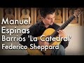 Barrios la catedral played by manuel espinas