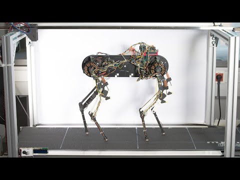 Morti is a robot dog that can learn to walk in an hour