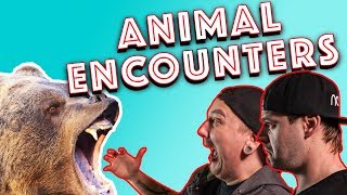 Funny/Crazy Animal Encounters!