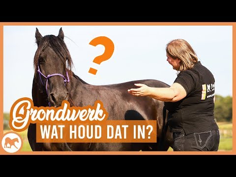 Video: Leeftijdsregressie: Wat Het Is, Waarom Het Gebeurt En Wanneer Het Nuttig Kan Zijn