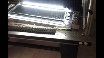 bidimensional granular gas