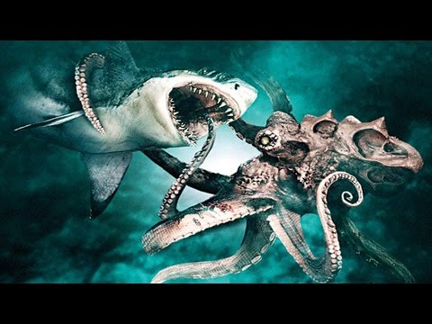 Fluffal - Release The Kraken!  FunnyCat.TV