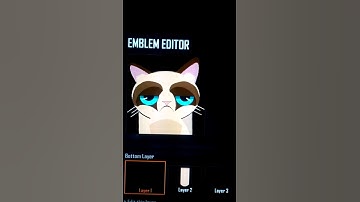 Black ops 2 Emblem- Grumpy Cat "No"