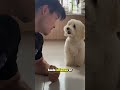 Why Your Dog Listens To Others More 😬🐕