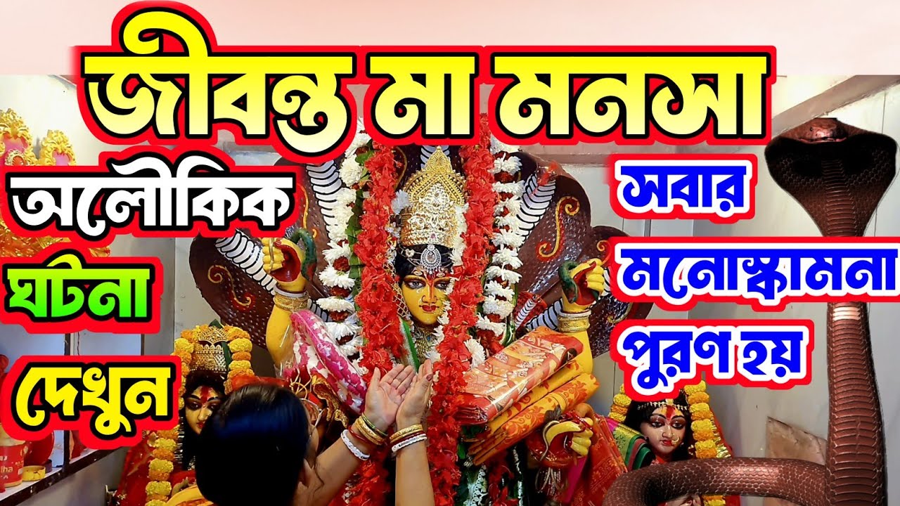 জীবন্ত মা মনসা || অলৌকিক ঘটনা দেখুন || MANASA MANDIR