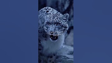 القرآن الكريم آيات💚قصيرة من الذكر الحكيم ارح قلبك❤️وسمعك🎧