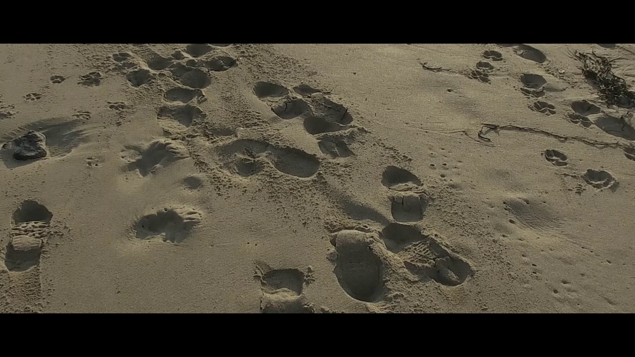 David Cutter Music - Cornwall / Winter 2017