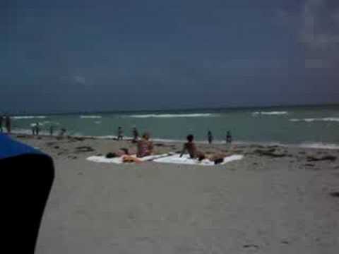 La Playa Hollywood Beach Florida You La Playa Hollywood Beach Florida