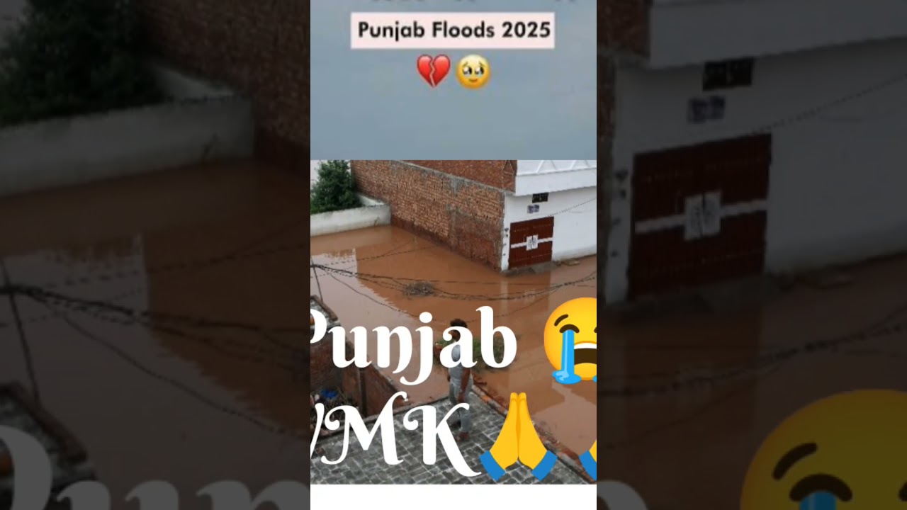 Waheguru ji mehar kro # Akal sewa team 