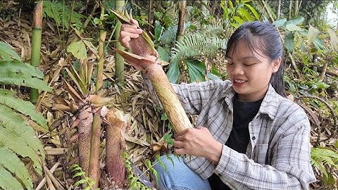 BÌNH DỊ CUỘC SỐNG THƯỜNG NGÀY CỦA MẸ ĐƠN THÂN…|Cói Lalin