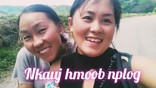 Nkauj Hmoob Mus Cog Pob Kws Sab Thiab Kho Siab Heev Nyob Moos Khas Nplog Teb