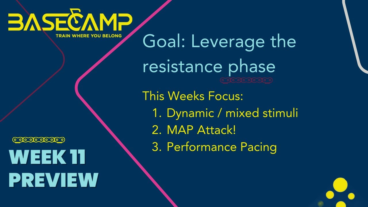 Week 11 Training Preview: Leverage the resistance! 