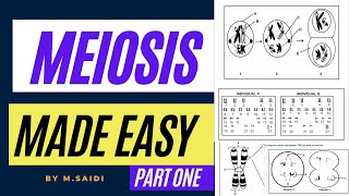 MEIOSSIS MADE EASY: GRADE 12 LIFE SCIENCES  (INTRODUCTION AND CROSING OVER)  BY M.SAIDI THUNDEREDUC
