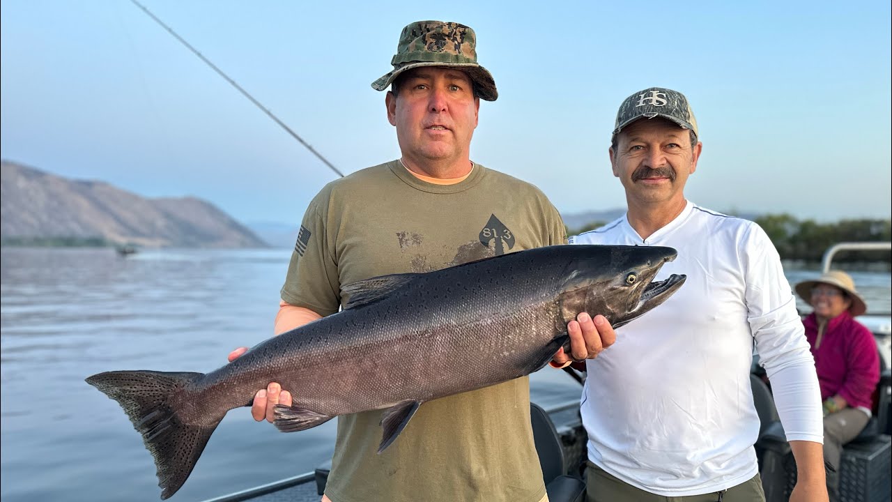 How to set up a 360 Flasher and Spinner for Summer Chinook