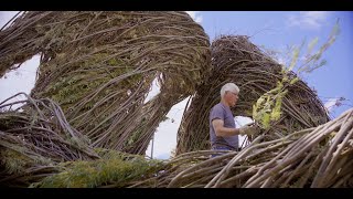 A Wayward Feeling - Trailer