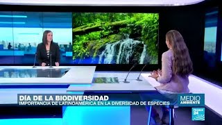 El 22 De Mayo Se Celebra El Día Mundial De La Biodiversidad