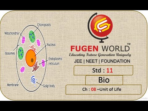 Chap - 08| Biology | Lec - 9 | Gujarati Medium (Std 11)