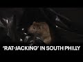 What is &#39;rat-jacking&#39;? Rat infestation in South Philly costing residents thousands in car damages