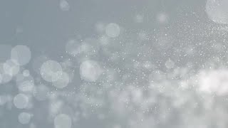White Particles Winter Gray Background Stock Motion Graphics
