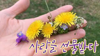정문공원 영상