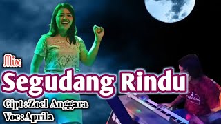 SEGUDANG RINDU DANGDUT MIX COVER ( APRILIA )