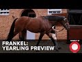 Frankel Watch: Yearling Preview