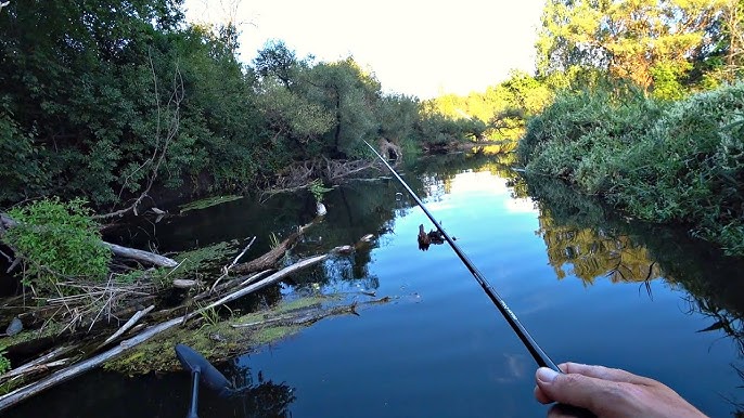Рыбалка пауком на реке: видео, советы, техника
