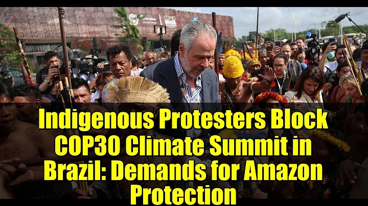 Indigenous Protesters Block COP30 Climate Summit in Brazil: Demands for Amazon Protection