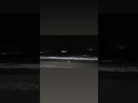 اغاني  لايك  اشتراك         شورت  