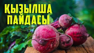 видео: ҚЫЗЫЛШАНЫҢ 3 ЕМДІК ҚАСИЕТІ |  ЖЕУГЕ БОЛМАЙТЫН ЖАҒДАЙЛАР картинка: ҚЫЗЫЛШАНЫҢ 3 ЕМДІК ҚАСИЕТІ |  ЖЕУГЕ БОЛМАЙТЫН ЖАҒДАЙЛАР
