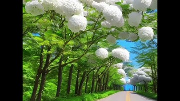 سورة الإنسان-تجويدعراقي🇮🇶مؤثر-هارون كامل