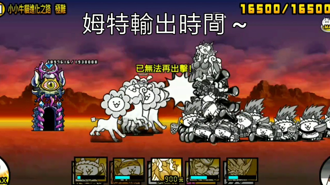 開眼小小牛貓  開連組爽爽打