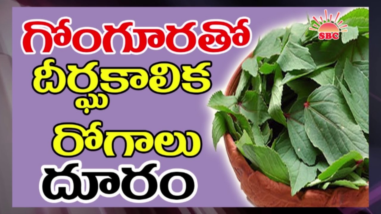 Benefits of sorrel leaves YouTube