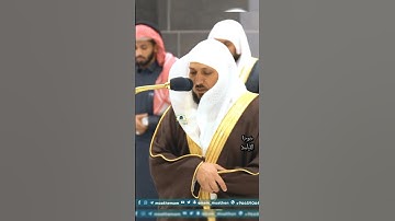 تلاوة فضيلة الشيخ أ.د _#ماهر #_المعيقلي | 🌿 سورة نوح 🌿