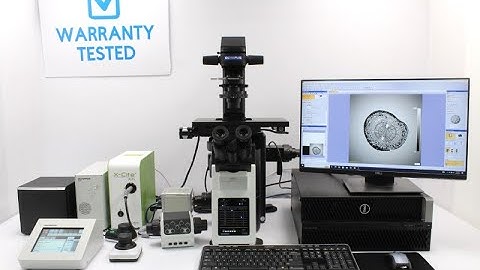 Olympus IX83 Motorized Autofocus Inverted Fluorescence Microscope [BOSTONIND] - 51833