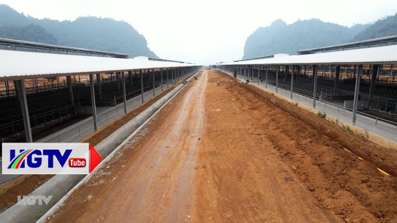 Outline Video Đẩy nhanh tiến độ dự án trang trại bò sữa tại xã Phong Quang